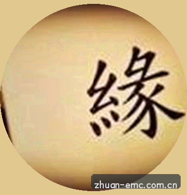 刘洋